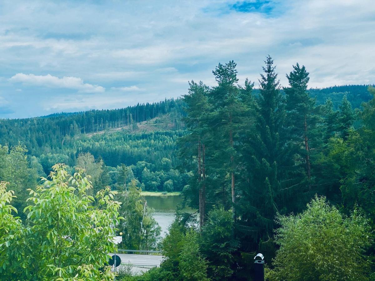 Apartmany Lipno 46 Lipno nad Vltavou Luaran gambar