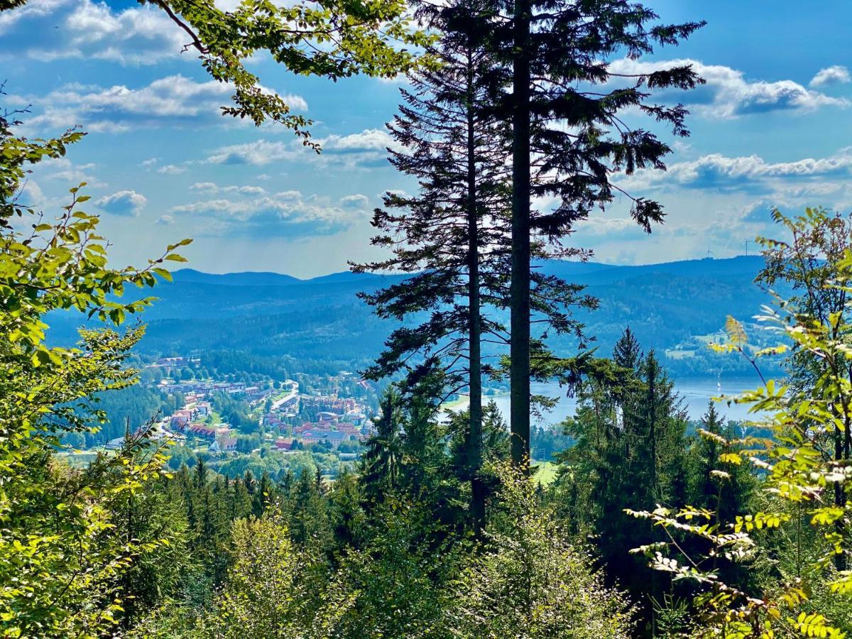 Apartmany Lipno 46 Lipno nad Vltavou Luaran gambar