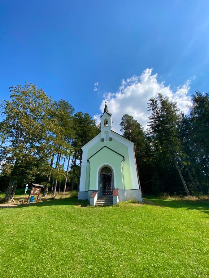 Apartmany Lipno 46 Lipno nad Vltavou Luaran gambar