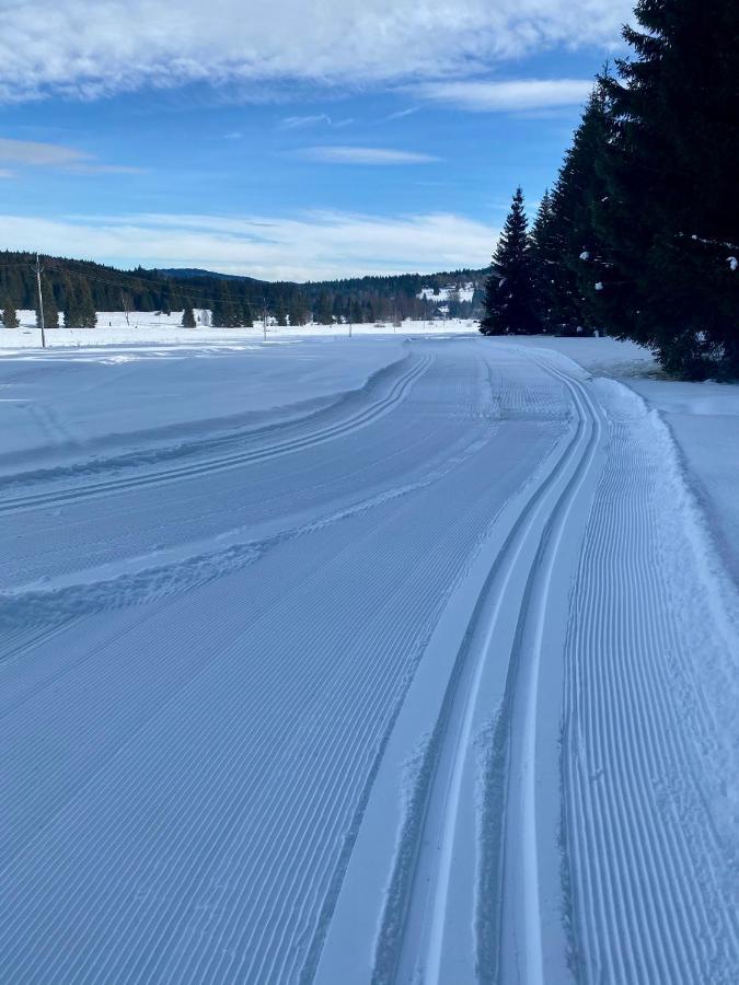 Apartmany Lipno 46 Lipno nad Vltavou Luaran gambar