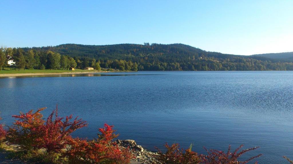 Apartmany Lipno 46 Lipno nad Vltavou Luaran gambar